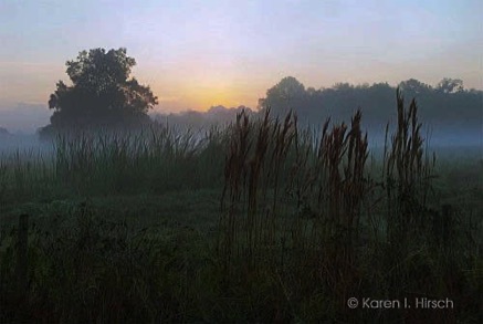 Color landscape at dawn in Florida